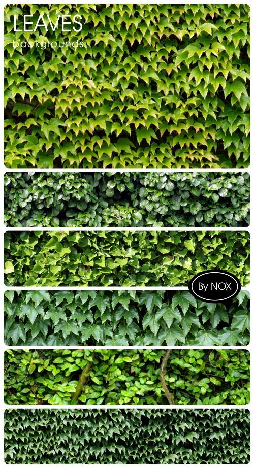 Leaves Backgrounds - Листва, текстуры Leaves Backgrounds - Листва, текстуры