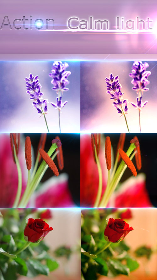 Action for Photoshop - Calm Light Action for Photoshop - Calm Light