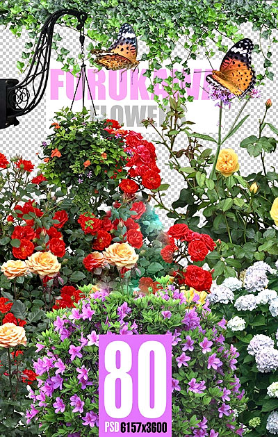 Цветы и кустарники на прозрачном фоне Цветы и кустарники на прозрачном фоне