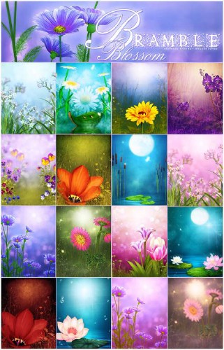 Bramble Blossom Backgrounds Bramble Blossom Backgrounds