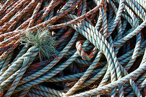 �������� ��������� �����