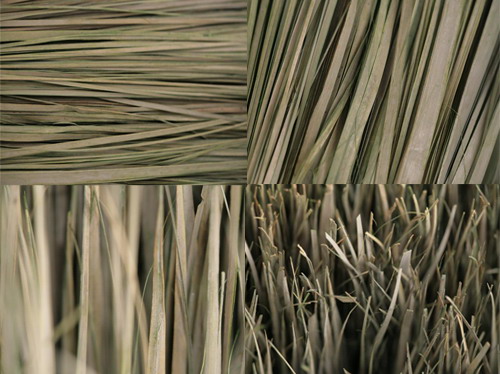 Dried Grass Textures