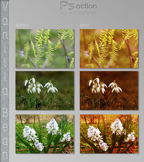 Vanilla Bean Photoshop Actions Vanilla Bean Photoshop Actions