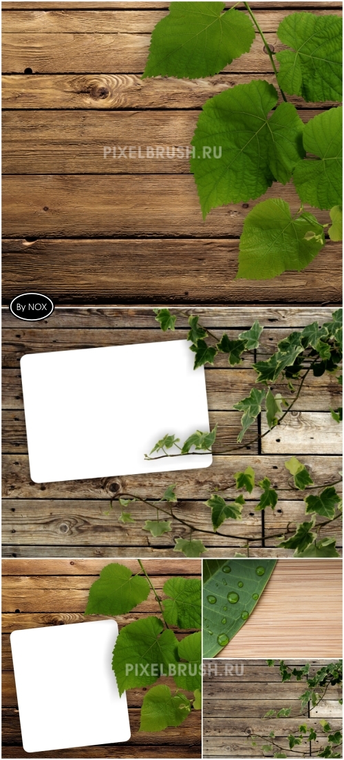 Wood & Leaves Backgrounds Wood & Leaves Backgrounds