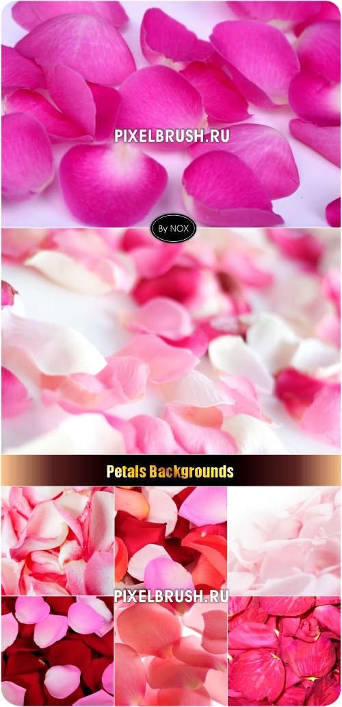 Petals Backgrounds - �������� ���, ���