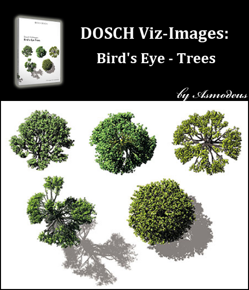 DOSCH Viz-Images: Bird's Eye - Trees DOSCH Viz-Images: Bird's Eye - Trees