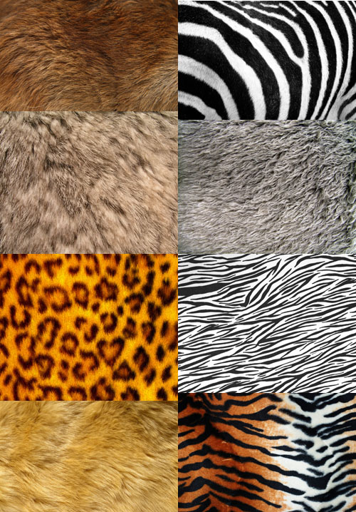 A set of textures wild animals