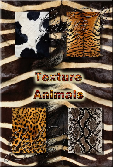 Texture - Animals / Текстуры животных Texture - Animals / Текстуры животных