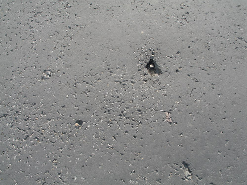 �������� "�������"