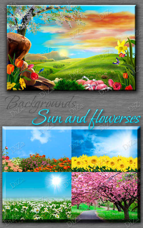 Backgrounds Sun and flowerses Backgrounds Sun and flowerses