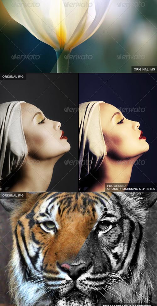GraphicRiver 65 Premium Actions Set - REUPLOAD GraphicRiver 65 Premium Actions Set - REUPLOAD