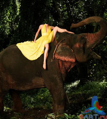       Photoshop -   2
