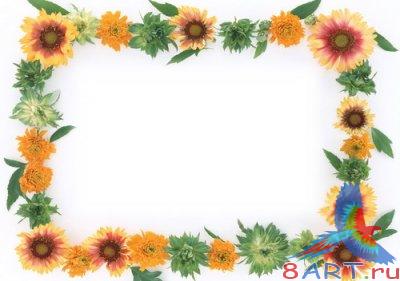 Flowers Frame for Photoshop