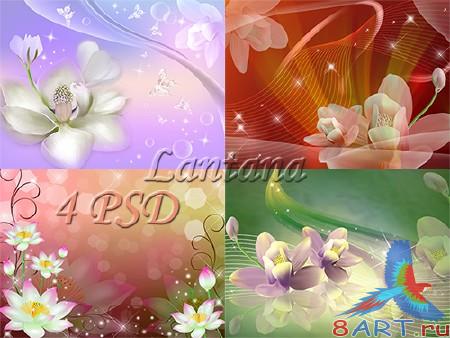 PSD  -  