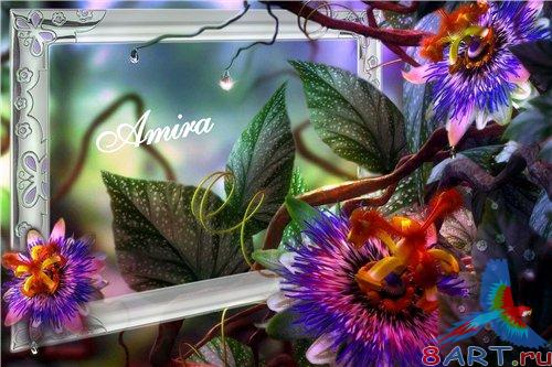    Photoshop - 