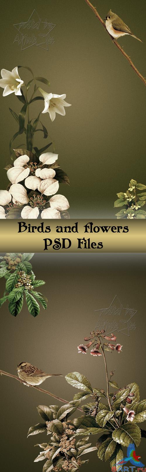      Birds and flowers - PSD Files