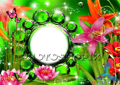   Photoshop   