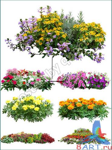     Photoshop -   