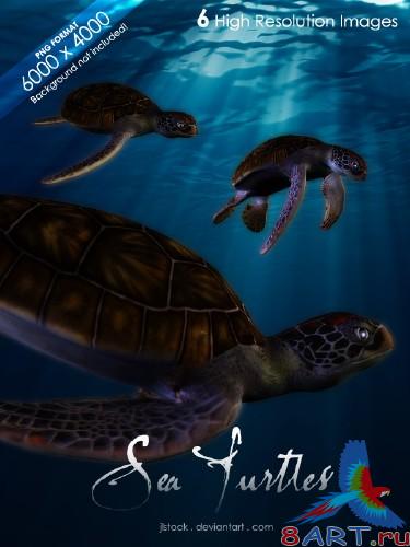 Sea Turtles Pack