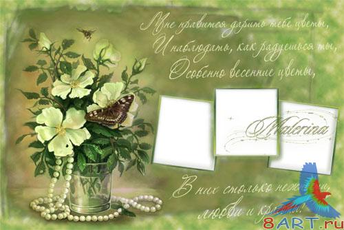   photoshop -     ...