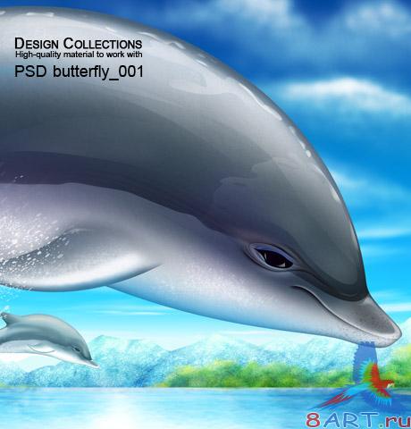    PSD