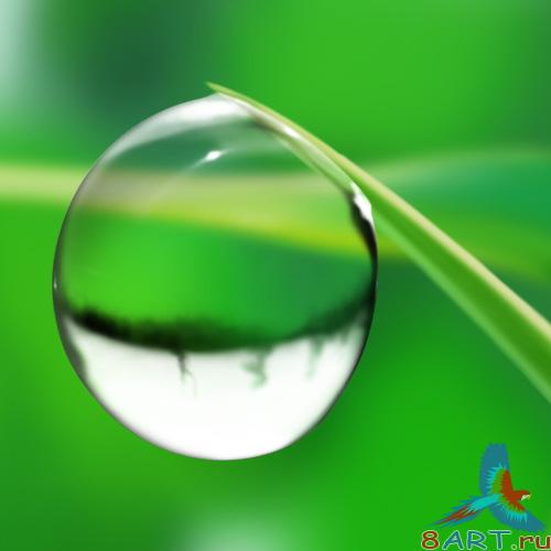 Water Drops /   - PSD 