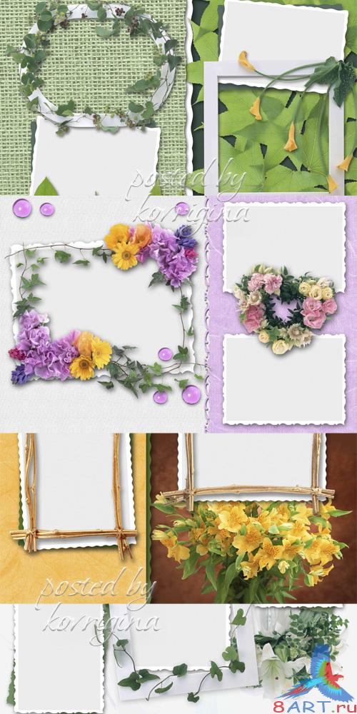 "Цветочный альбом", порцион 5 ("Flower Album", Part 5) "Цветочный альбом", порцион 5 ("Flower Album", Part 5)