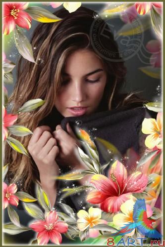     photoshop -   