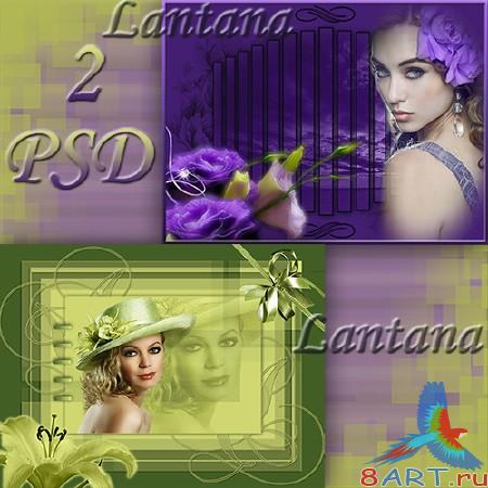 PSD      - Green and violet