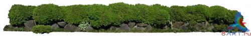 PSD Templates -  Bushes and Plants