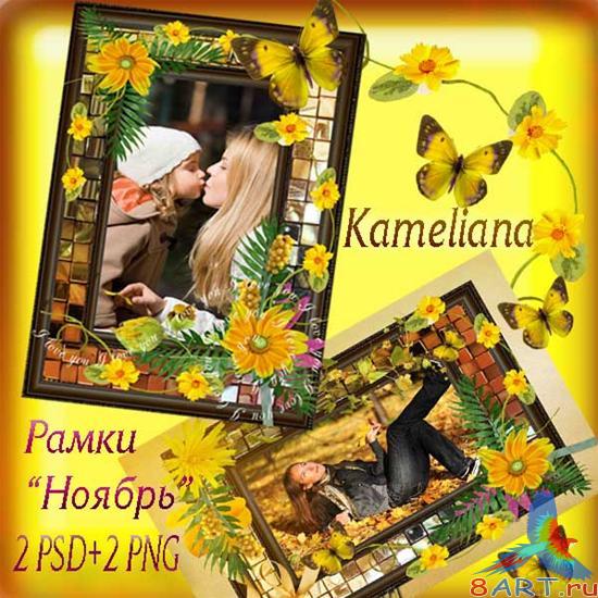    Photoshop - 