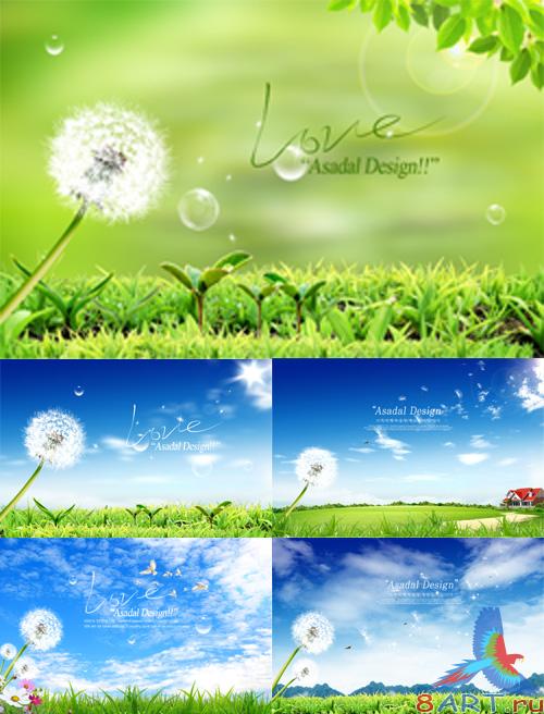 Source bright green nature