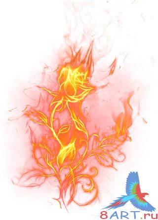 Fiery Love / PNG Fiery Love / PNG