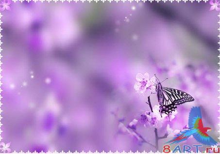 Romantic PSD PACK 2 Romantic PSD PACK 2