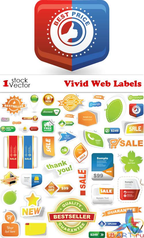 Vivid Web Labels Vector