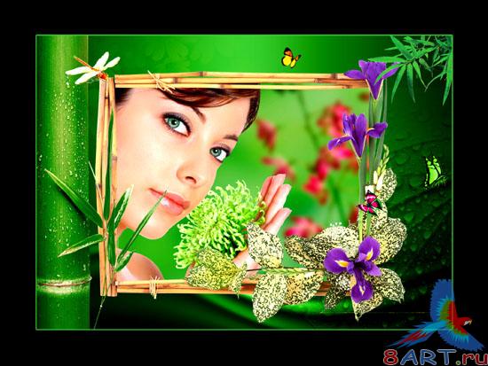 Frame - Tropicana Frame - Tropicana
