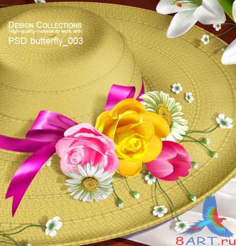 Butterfly PSD