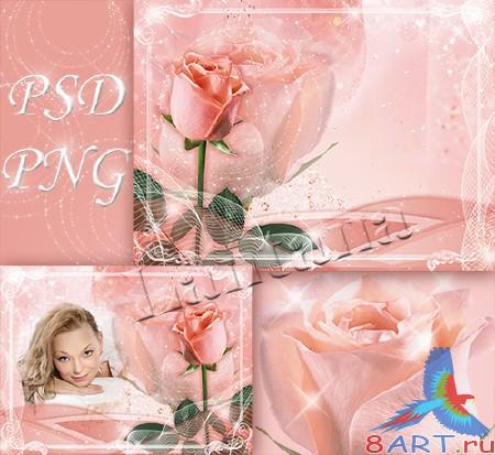 PSD    -  