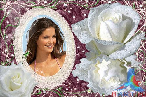     Photoshop -  