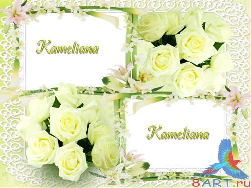    Kameliana -  5 - 