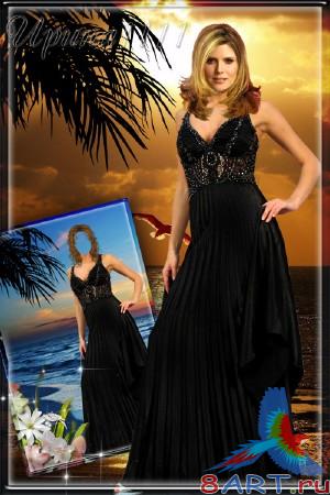      Photoshop -    