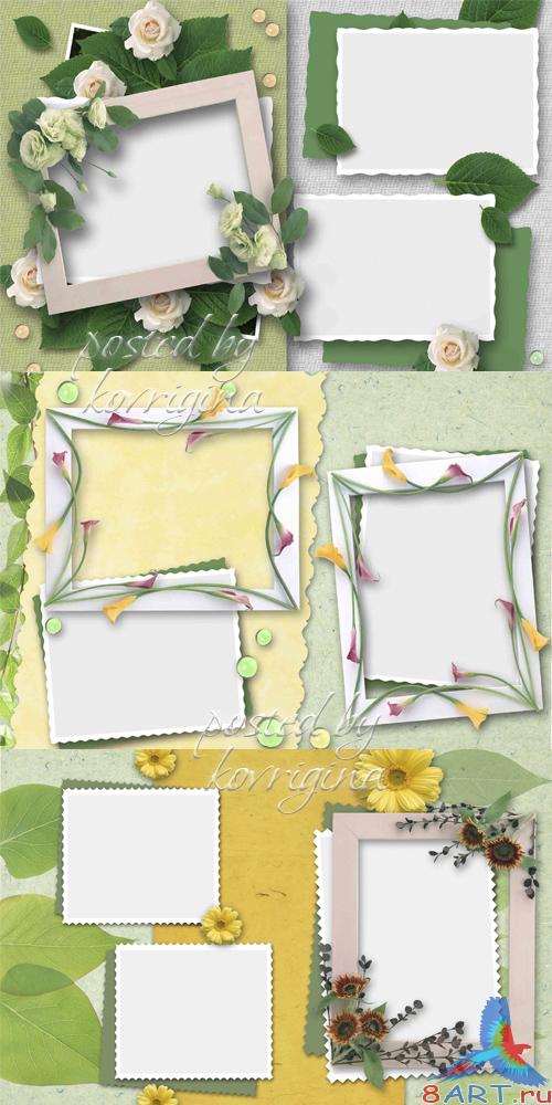 "Цветочный альбом", круг 1 ("Flower Album", Part 1) "Цветочный альбом", круг 1 ("Flower Album", Part 1)
