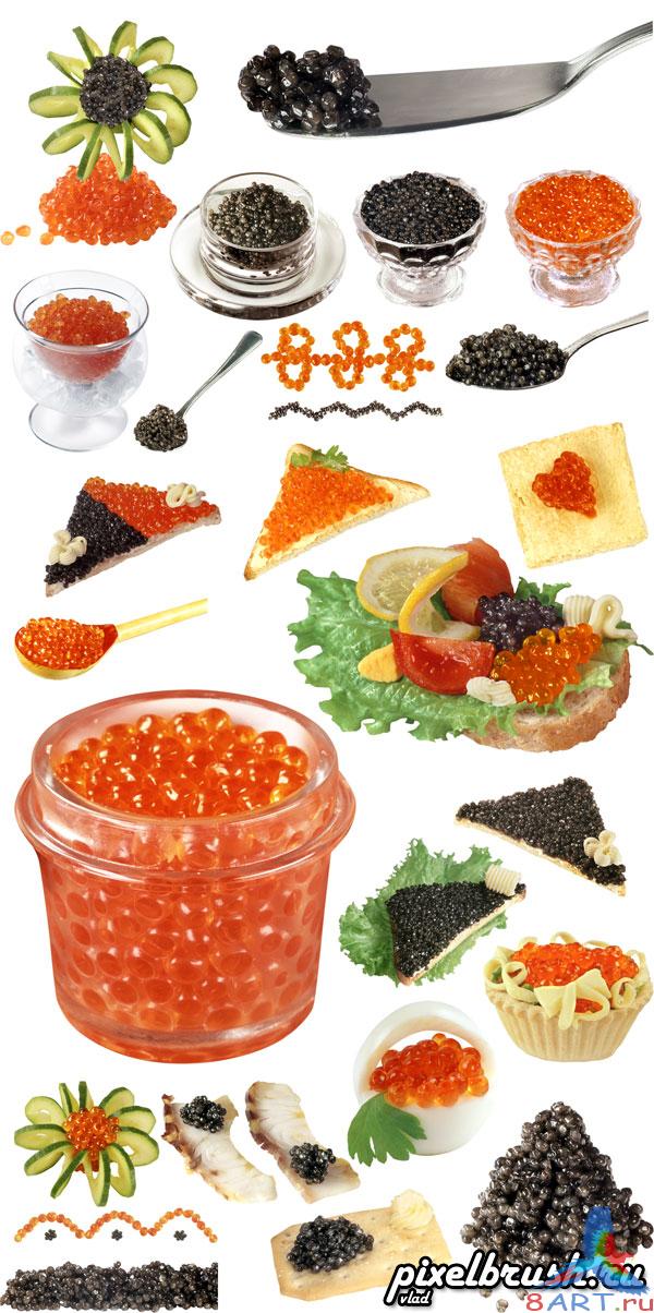 Red and Black Caviar -     (      Photoshop)