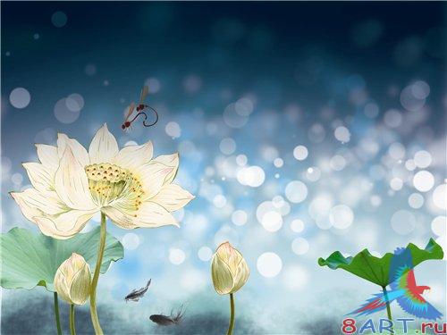 PSD - White flowers on blue background PSD - White flowers on blue background