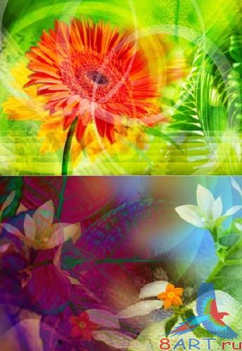 PSD - Floral fantasies 26