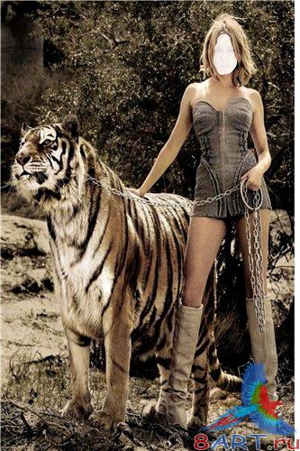    Photoshop -    