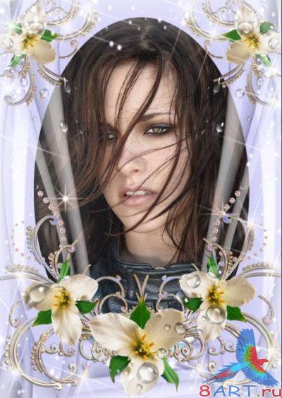    Photoshop -    