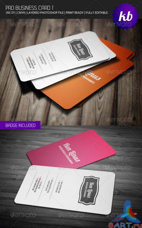 GraphicRiver Pro Business Card 1