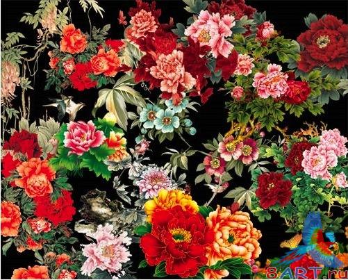 Букеты цветов на psd / Bunches of flowers in psd Букеты цветов на psd / Bunches of flowers in psd