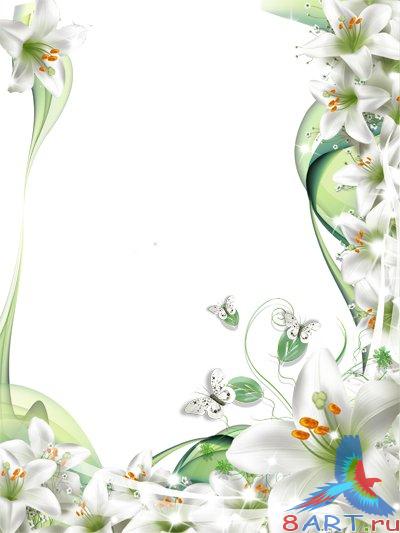 Frame Lilies 